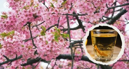 El mezcal más elegante y el único en reposar en barricas de cerezo japonés