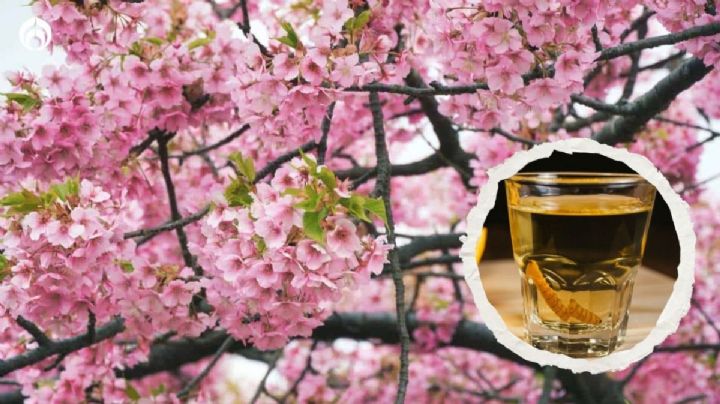 El mezcal más elegante y el único en reposar en barricas de cerezo japonés