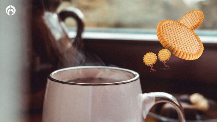 Truco para hacer atole de galletas Canelitas para que no mueras de frío