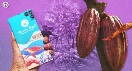 Mazorca Negra: el tesoro de cacao quintanarroense que conquistó los International Chocolate Awards