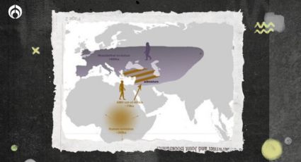 ¿Tus ancestros eran neandertales? Este hábito te lo revelará