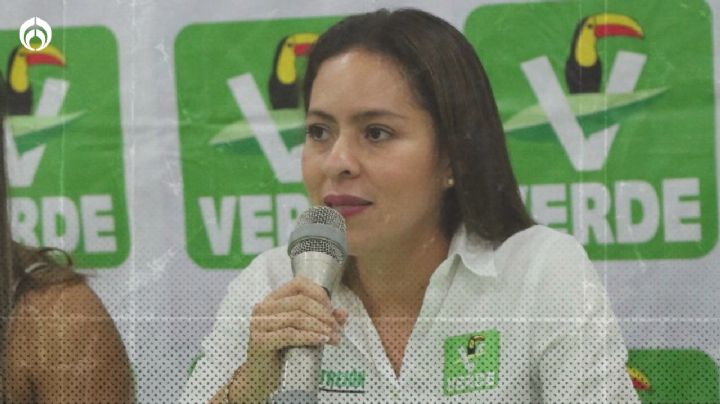 El Partido Verde destaca los logros y retos del PNUMA