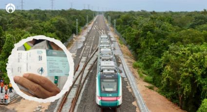 Tren Maya: así serán los recorridos nocturnos… por ahora