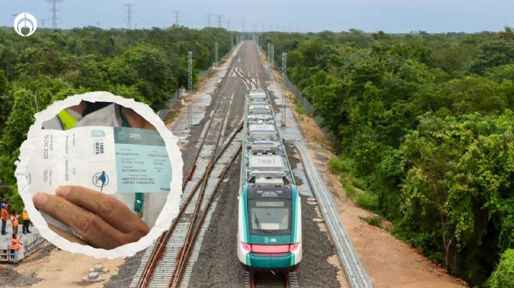 Tren Maya: así serán los recorridos nocturnos… por ahora