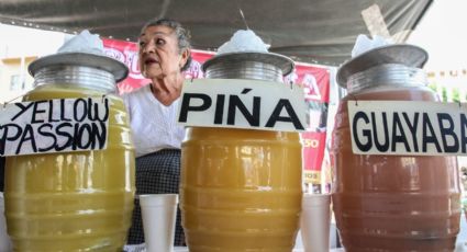 Feria de los Pulques Tradicionales: Aquí es donde podrás deleitarte con la bebida de los dioses