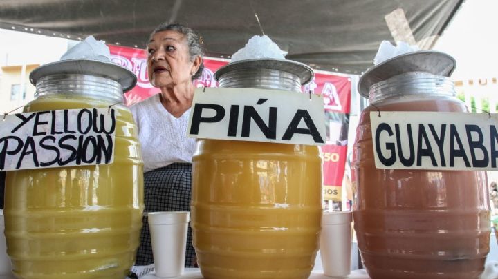 Feria de los Pulques Tradicionales: Aquí es donde podrás deleitarte con la bebida de los dioses