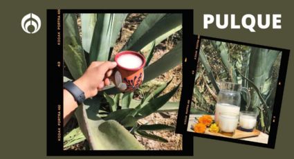 ¿Qué significa la palabra pulque, bebida que tanto se consume en México? ¡No lo creerás!