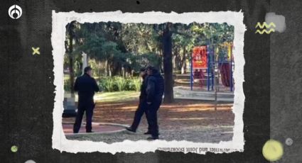 Hallan cuerpo con signos de violencia en Bosque de Chapultepec