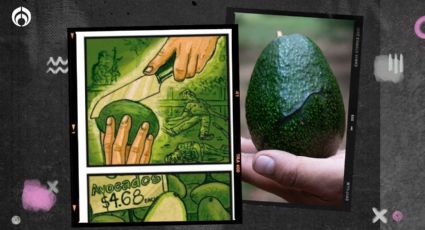 Así 'controla' el narco mexicano el negocio del aguacate, según cómic francés