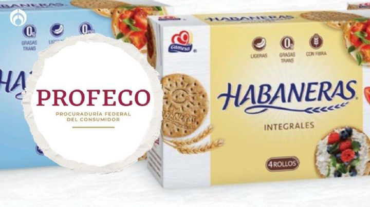 ¡Advertencia de Profeco! ¿Qué tienen de malo las galletas Habaneras integrales de Gamesa?