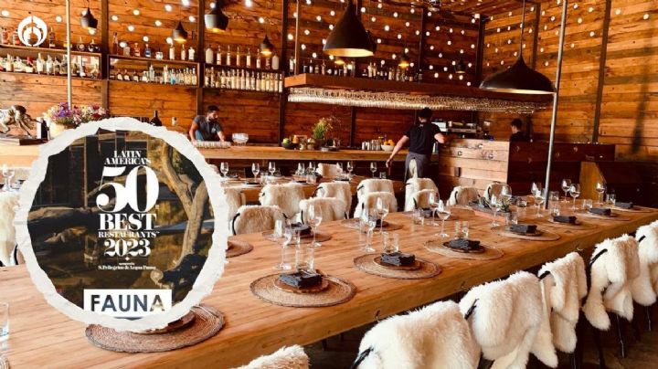 Fauna: ¿dónde está y qué comer en el mejor restaurante de México 2023?