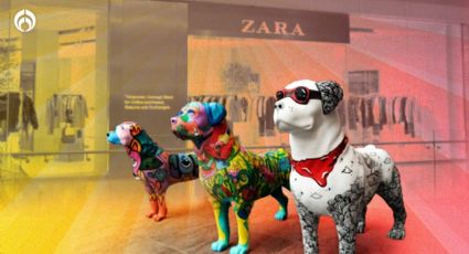 Cuidado con el Perro compra las tiendas Zara