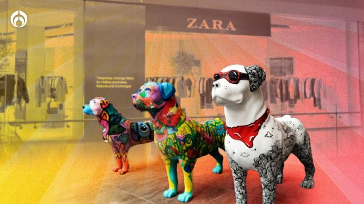 Cuidado con el Perro compra las tiendas Zara