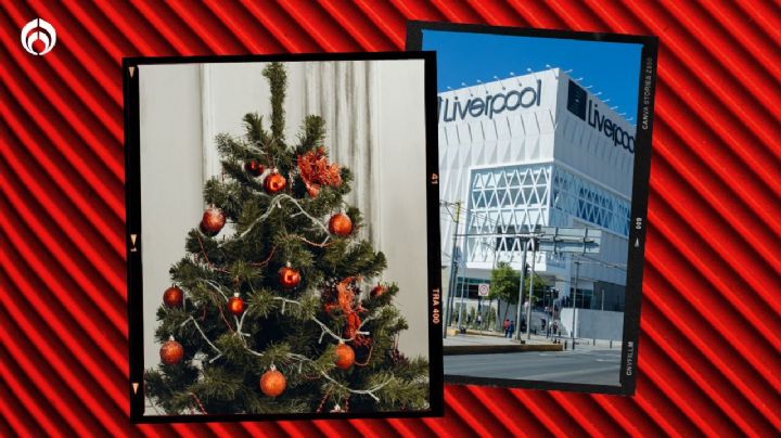 Este es el árbol de Navidad más barato que puedes comprar en Liverpool