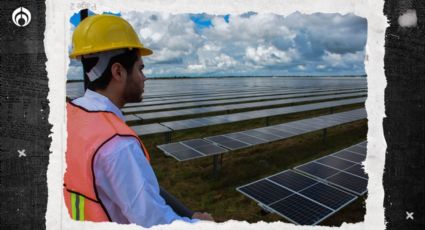 Empleos verdes: ¿cuánto gana un técnico en paneles solares?