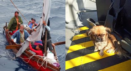 Marina rescata a cubanos y 'lomito' de una balsa a la deriva en aguas de Quintana Roo