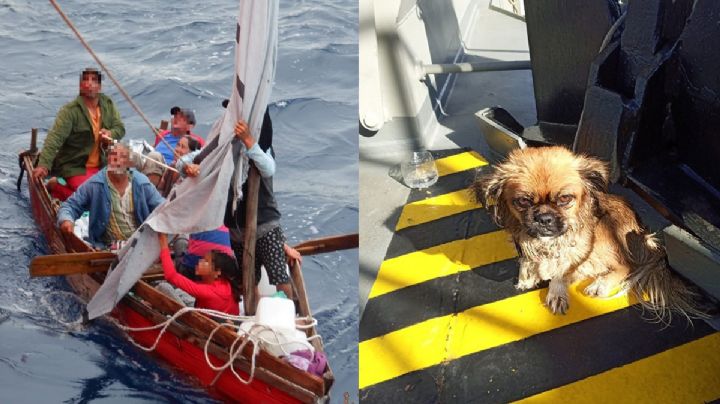 Marina rescata a cubanos y 'lomito' de una balsa a la deriva en aguas de Quintana Roo