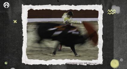 Corte NO avaló las corridas de toros: Te explicamos lo que sí pasó