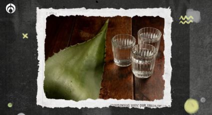 Descubre cuál es la diferencia entre tequila reposado y cristalino