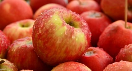 La razón por la que estas personas no deberían comer manzana