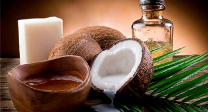 Aceite de coco vs. Aceite de argán: ¿Cuál es mejor para tu piel?