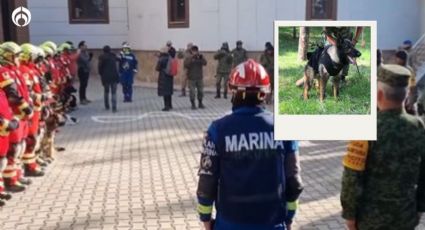 (VIDEO) Brigadistas despiden a Proteo, perrito rescatista que murió en Turquía