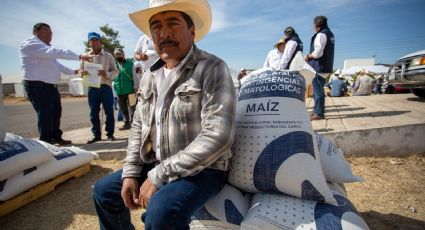 Sequía en Querétaro es combatida con entrega de maíz a productores; presas preocupan