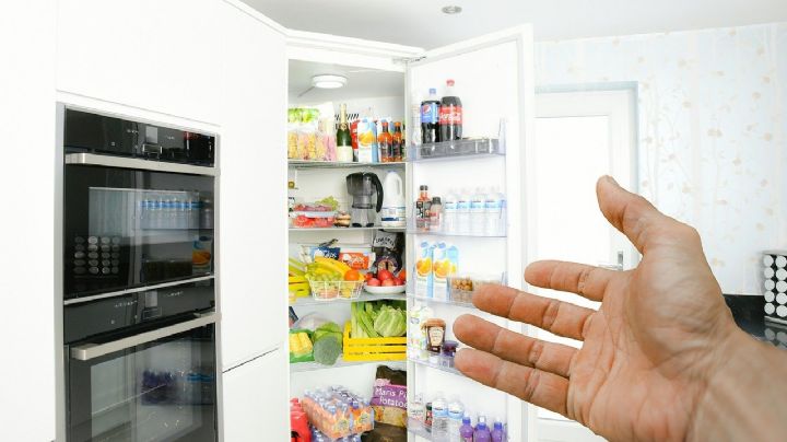 ¡Cuidado con tu refrigerador! Te decimos cada cuándo limpiarlo para evitar problemas de salud