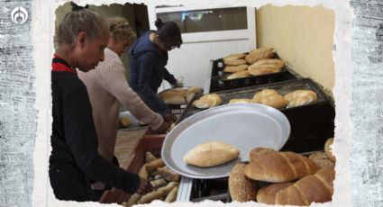 Pa´l susto o una torta: El TRUCO para que tu pan no se eche a perder