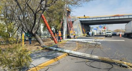 (VIDEO) Tráiler derriba postes en avenida 5 de Febrero; deja sin luz y desata caos en la vialidad