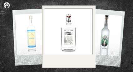 Los 6 mejores mezcales recomendados por expertos para este 2023