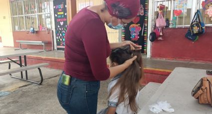 Adiós a los 'piojitos': implementan programa contra la pediculosis en primaria de Madero