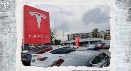 AIFA y Nuevo León tienen nuevo rival: Michoacán competirá por planta de Tesla