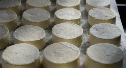 ¿Qué pasa si me como un queso caducado? No es lo que esperas