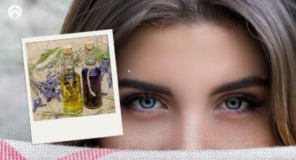 Los 5 mejores aceites para engrosar tus cejas, recomendados por expertos