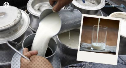 ¿Cuál es la mejor marca de leche en Polvo? Esta es la palomeada por Profeco