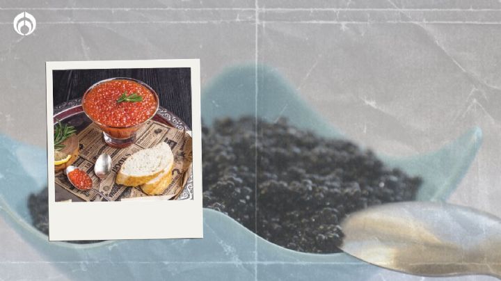 Clase alta: ¿cuáles son las mejores marcas de caviar que hay en México?