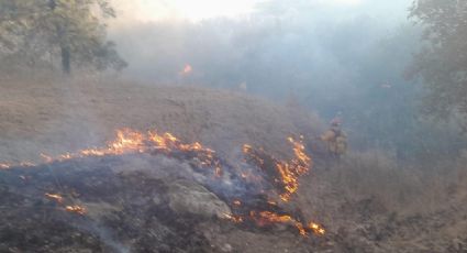 (VIDEO) Arde 'La Primavera': 2 aeronaves y 150 bomberos combaten el incendio en el bosque