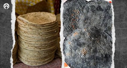 Tortilla azul vs. tortilla amarilla: ¿Cuál es más saludable?