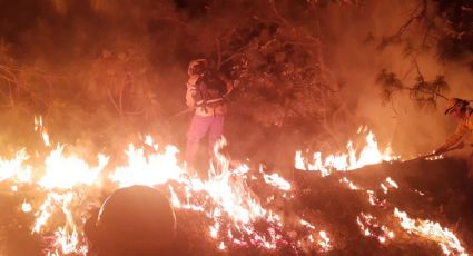 Incendio en bosque 'La Primavera': suspenden clases por emergencia atmosférica