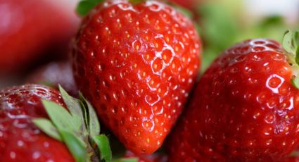 ¿Qué son los puntos negros de las fresas? Te sorprenderás con la respuesta