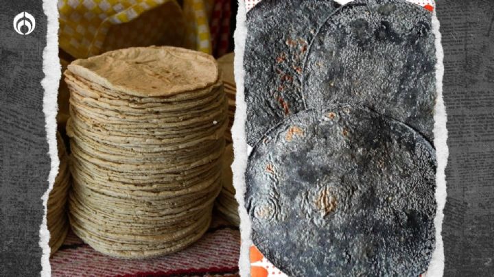 Tortilla azul vs. tortilla amarilla: ¿Cuál es más saludable?