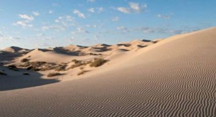 Las Dunas de Samalayuca, un 'tesoro' en el desierto para los amantes del deporte y la fotografía