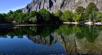 Cañón de Fernández: joya natural donde habita la vívora con patas y 580 especies más