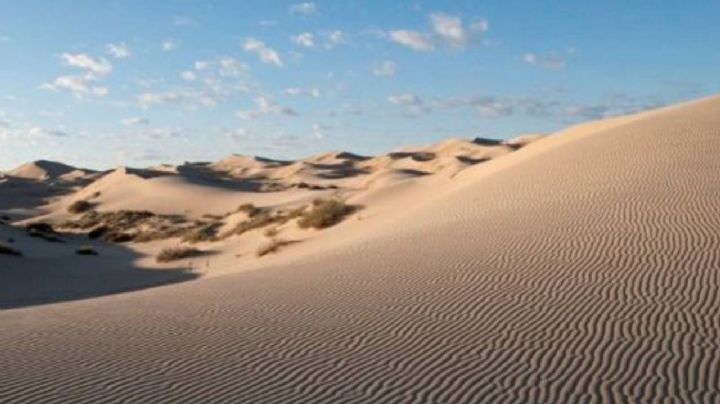 Las Dunas de Samalayuca, un 'tesoro' en el desierto para los amantes del deporte y la fotografía