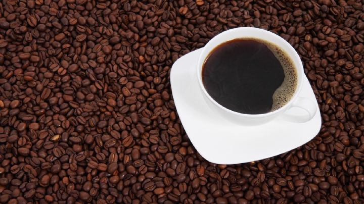 ¿No puedes tomar café? 5 alternativas para sustituir tu shot de energía por las mañanas