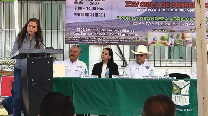 Tamaulipas ocupa el primer lugar a nivel nacional en la producción de sorgo