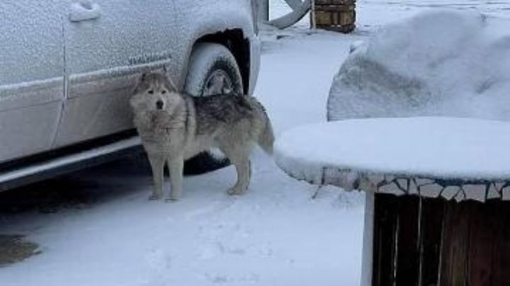 (FOTOS) Bellas y peligrosas nevadas en La Rumorosa, un riesgo potencial para la población