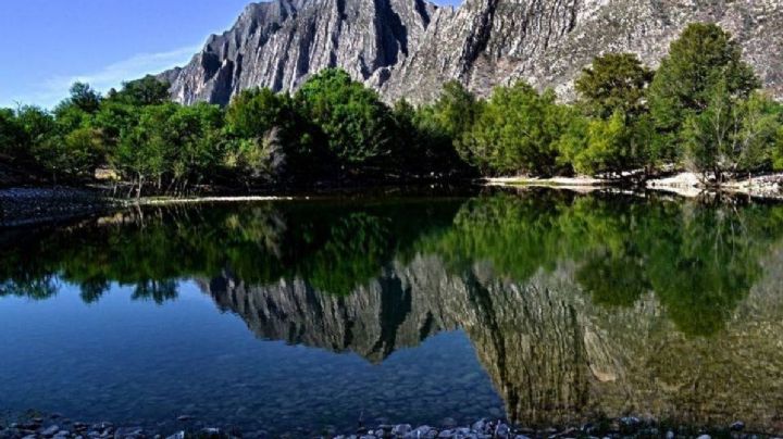 Cañón de Fernández: joya natural donde habita la vívora con patas y 580 especies más