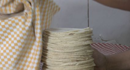 Baja California Sur se sumaría junto a otros 2 estados a tener la tortilla más cara del país